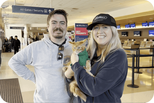 image_17_-min_af90951b-2561-4394-8589-fb3f6b4cee1c_500x