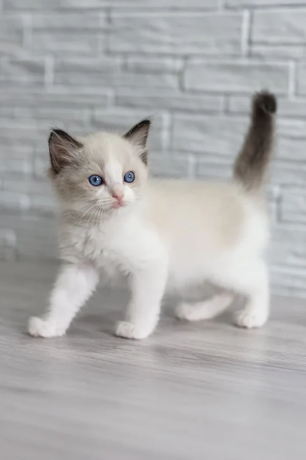 Oskar